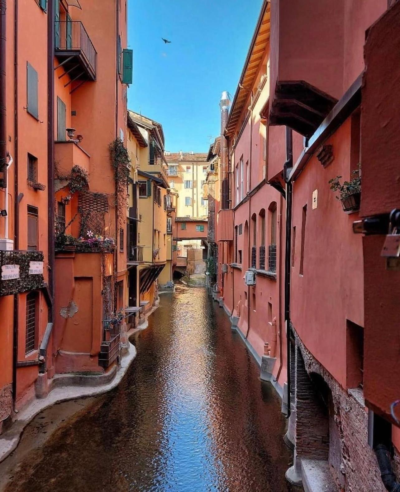 Bolognabyside -Righi Apartment Bagian luar foto