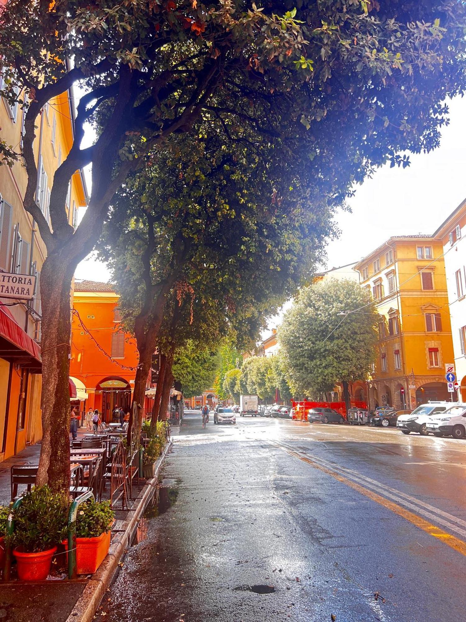 Bolognabyside -Righi Apartment Bagian luar foto